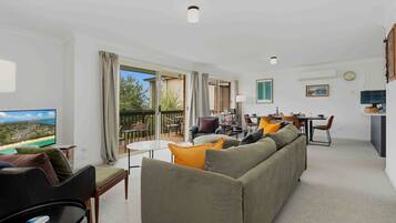 TV, DVD player, books