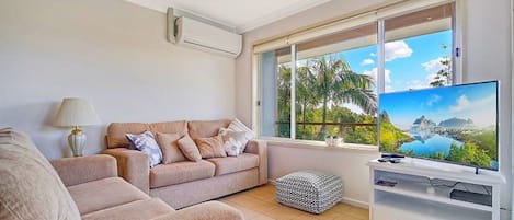 Televisión, reproductor de DVD