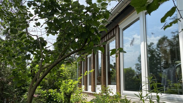 Un edificio moderno con amplios ventanales y un jardín con diversas plantas.