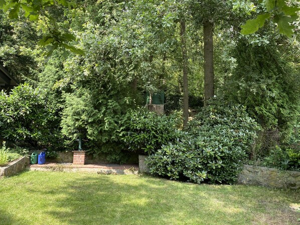 A lush garden with dense foliage, a brick wall, and a small pathway.