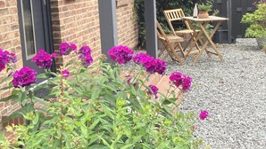 A brick house with a door, a mailbox, and a gravel patio with a wooden table and chairs.