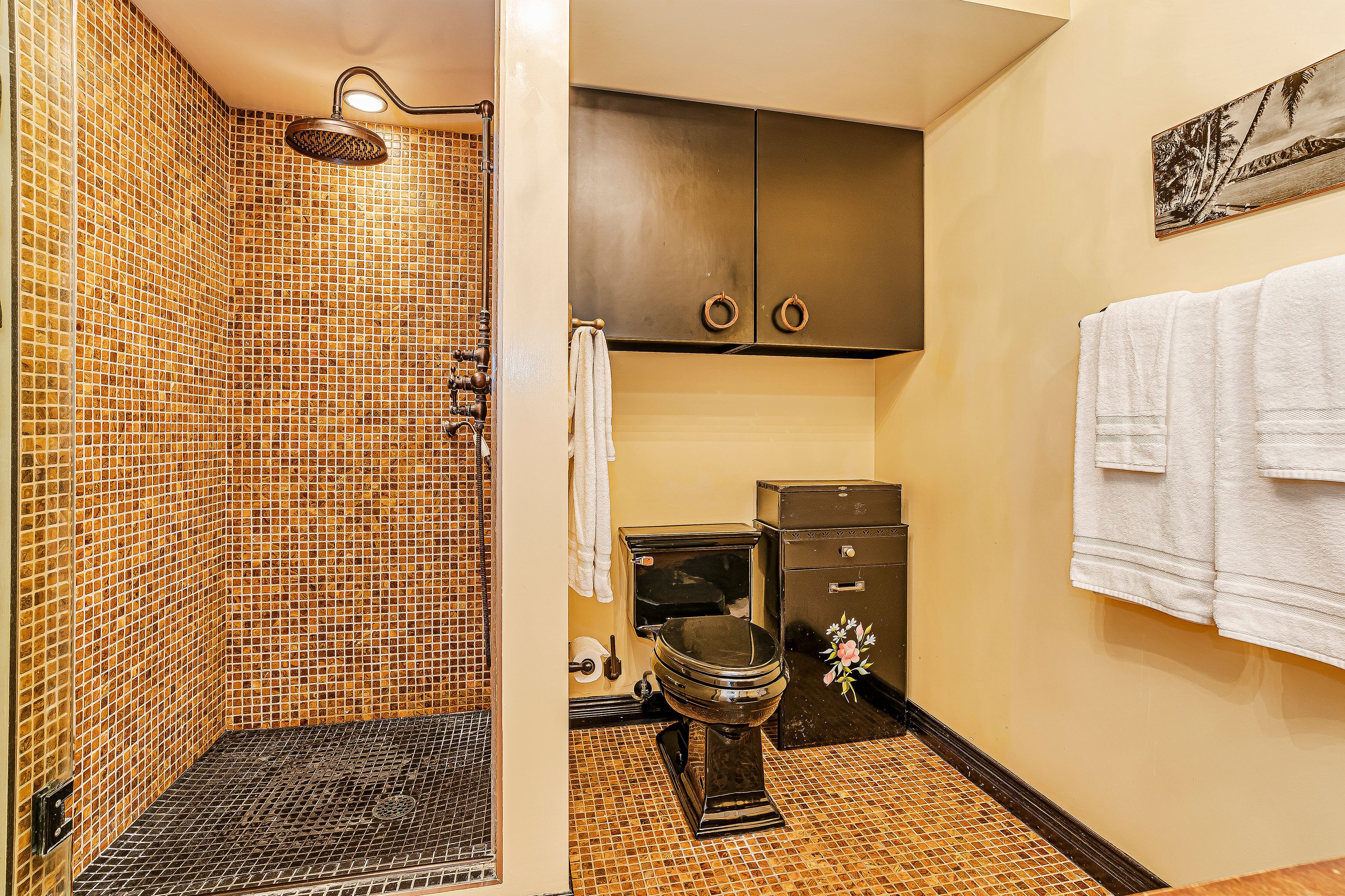 Shower, hair dryer, towels