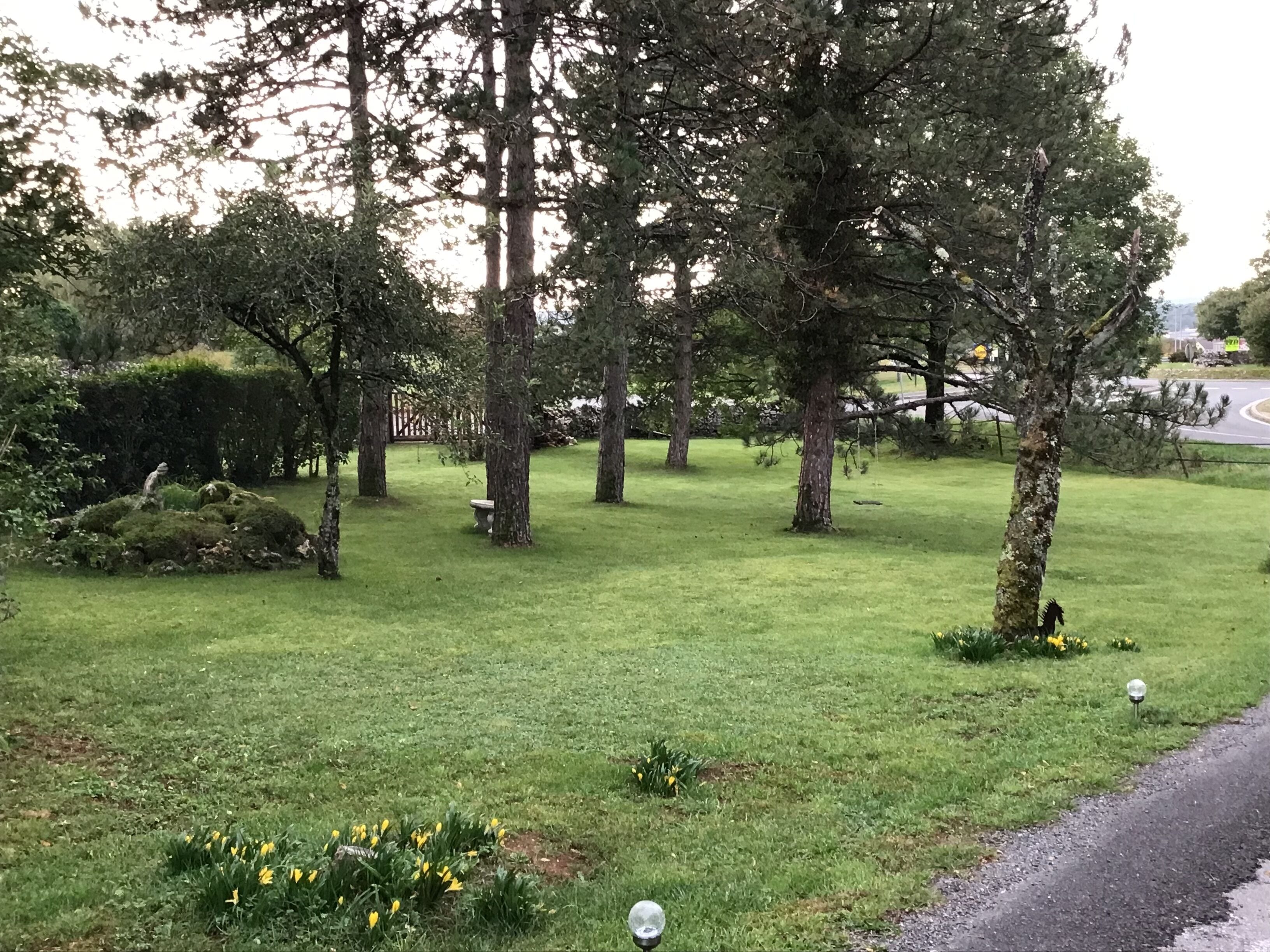 A well-maintained grassy area with trees and a pathway.