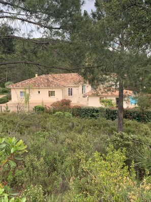 المنشأة من الخارج