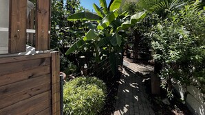 Un jardín con sendero de ladrillo, cerca de madera y diversas plantas, incluyendo un árbol de plátano.