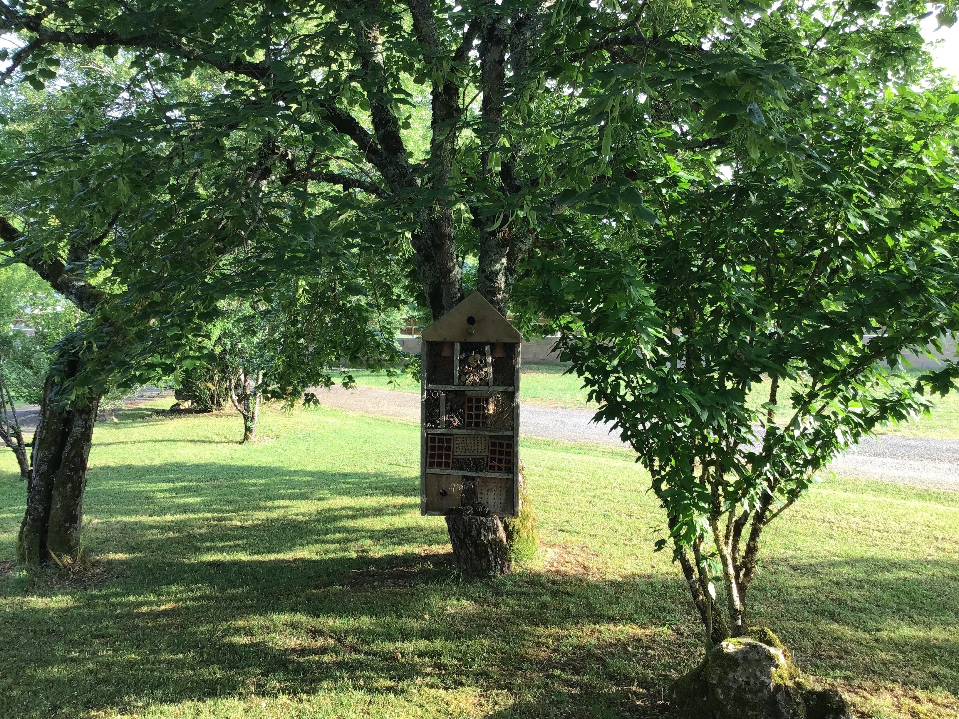 A birdhouse mounted on a tree in a grassy area.