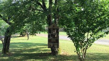 A birdhouse mounted on a tree in a grassy area.