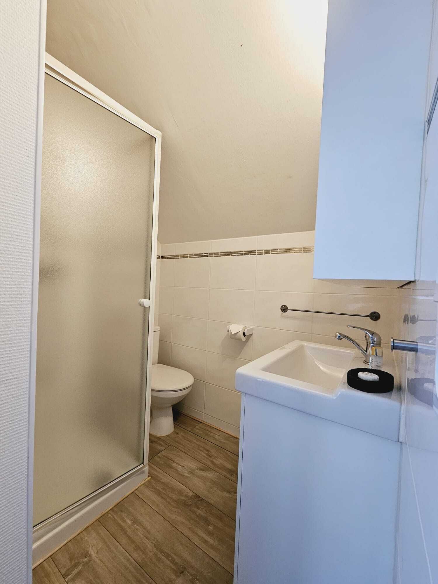 A bathroom with a toilet, sink, and a shower area.