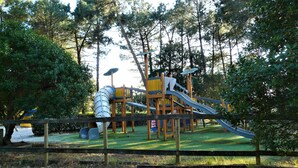 A playground with a slide and climbing structures surrounded by trees. - In the middle of the pines, attractive apartment for 2 - 4 people (Lacanau)