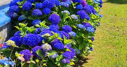 GĂźte 2 chambres Ă 5 mn de Roscoff avec vue sur la mer