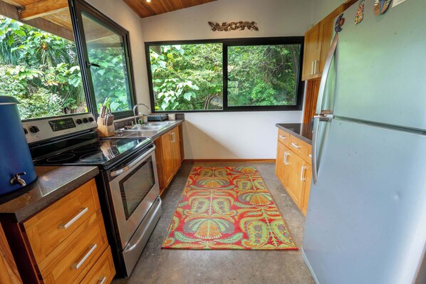 A kitchen with wooden cabinets, a stainless steel refrigerator, a large window with a view of greenery, and a patterned rug.