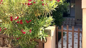 A residential building with a gated entrance, satellite dishes, and a well-maintained garden with red flowers. - Graziosa Casetta nel Cuore di Porto Ottiolu (Porto Ottiolu)