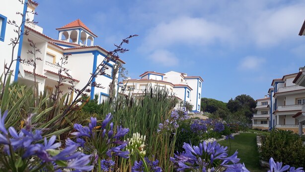 Un quartiere residenziale con edifici a più piani, cielo sereno e un giardino con fiori viola.