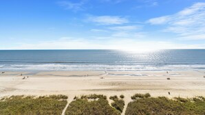 Een strand met heldere lucht, zandstrand en begroeiing op de voorgrond.