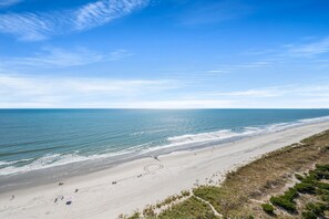 On the beach - Bay Watch 1241-1BR/1BA Oceanfront Condo in North Myrtle Beach (North Myrtle Beach)