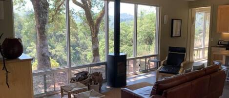 TV, fireplace, stereo, offices