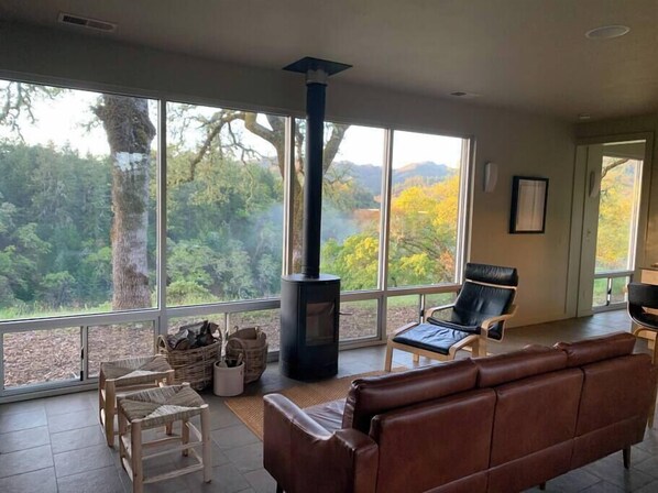 TV, fireplace, stereo, offices