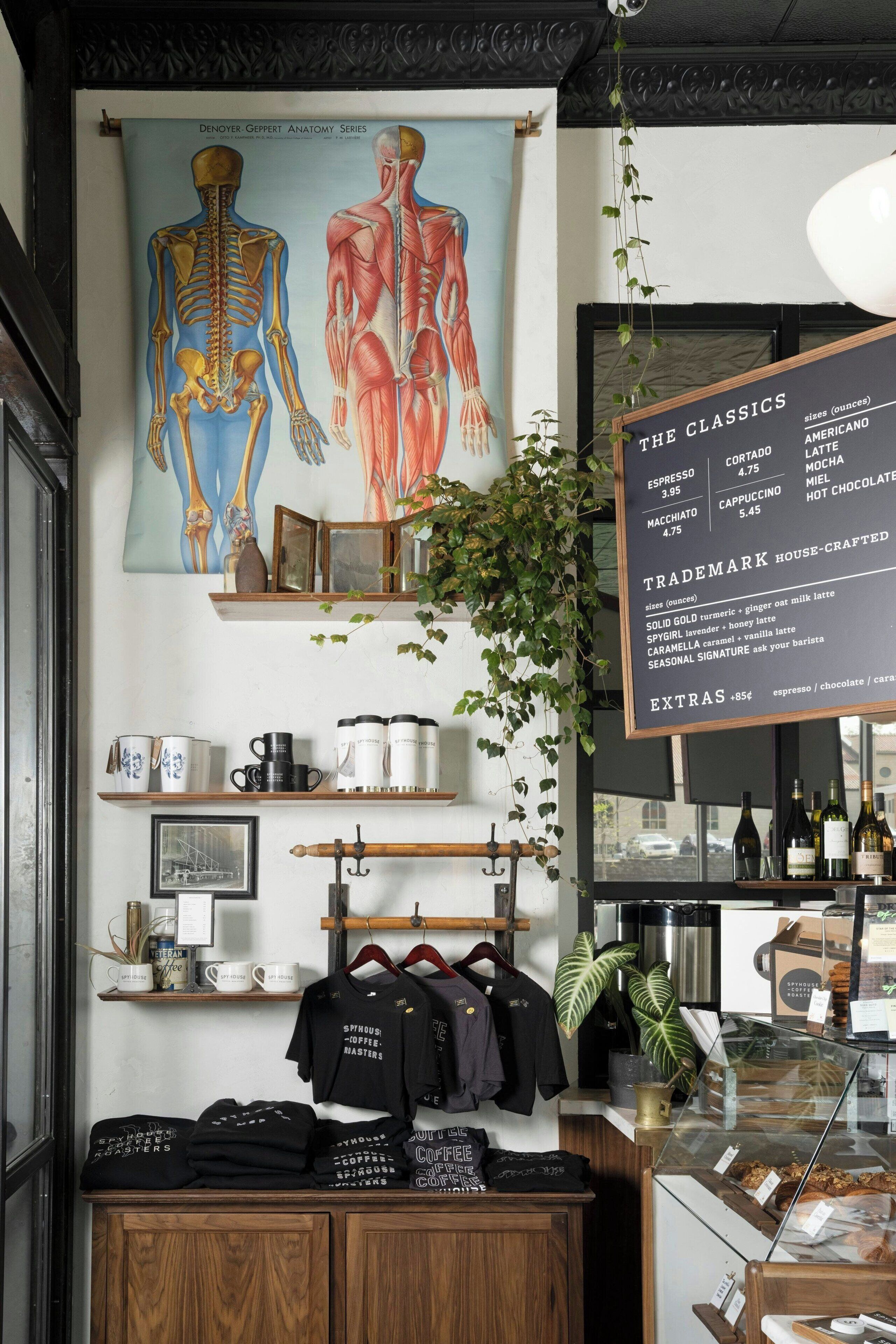 A coffee shop interior with a menu board, a wall-mounted anatomical illustration, and a display of branded merchandise.