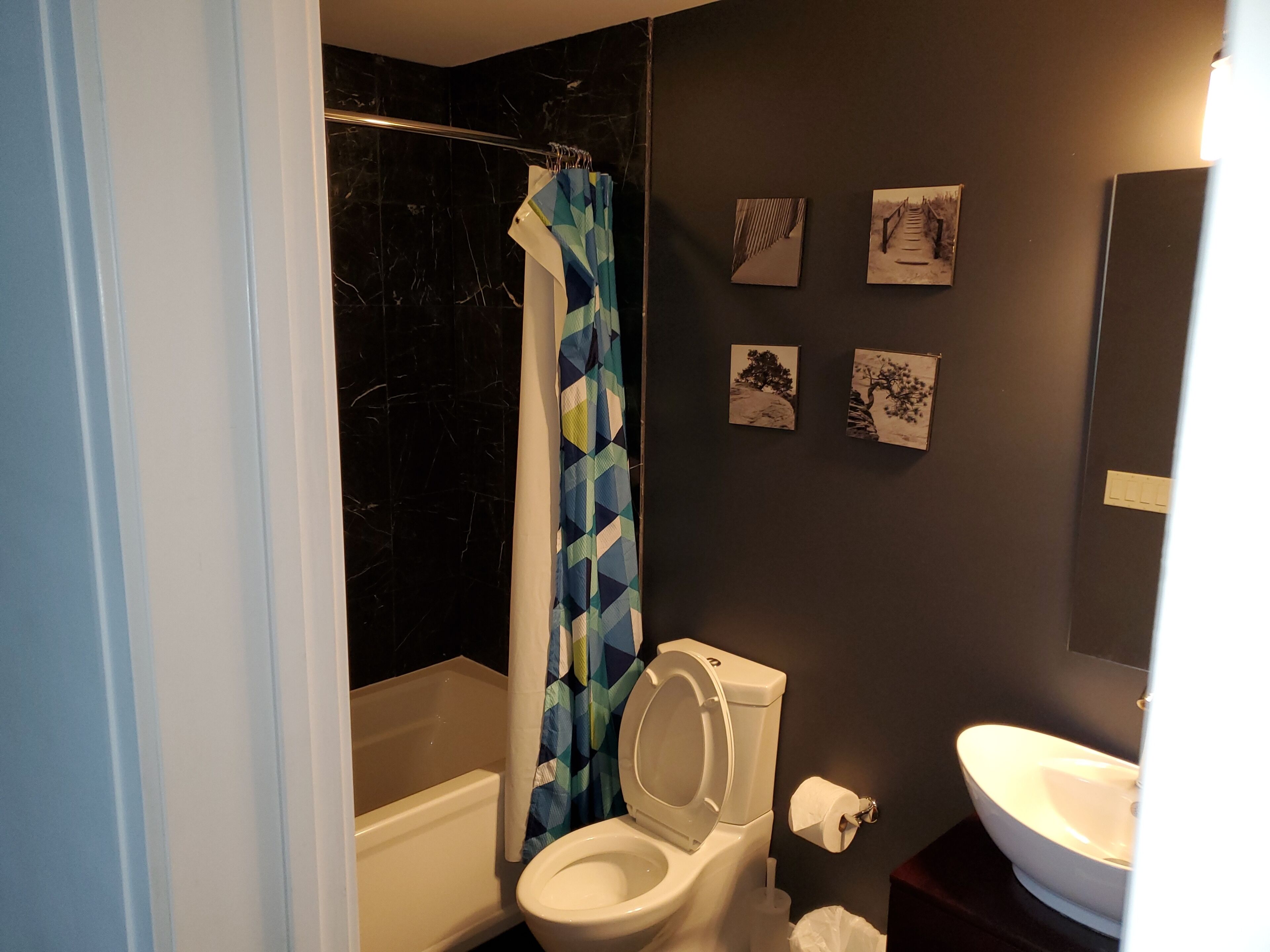 Une salle de bain avec une baignoire, des toilettes et un rideau de douche. Quatre tableaux encadrés ornent le mur.