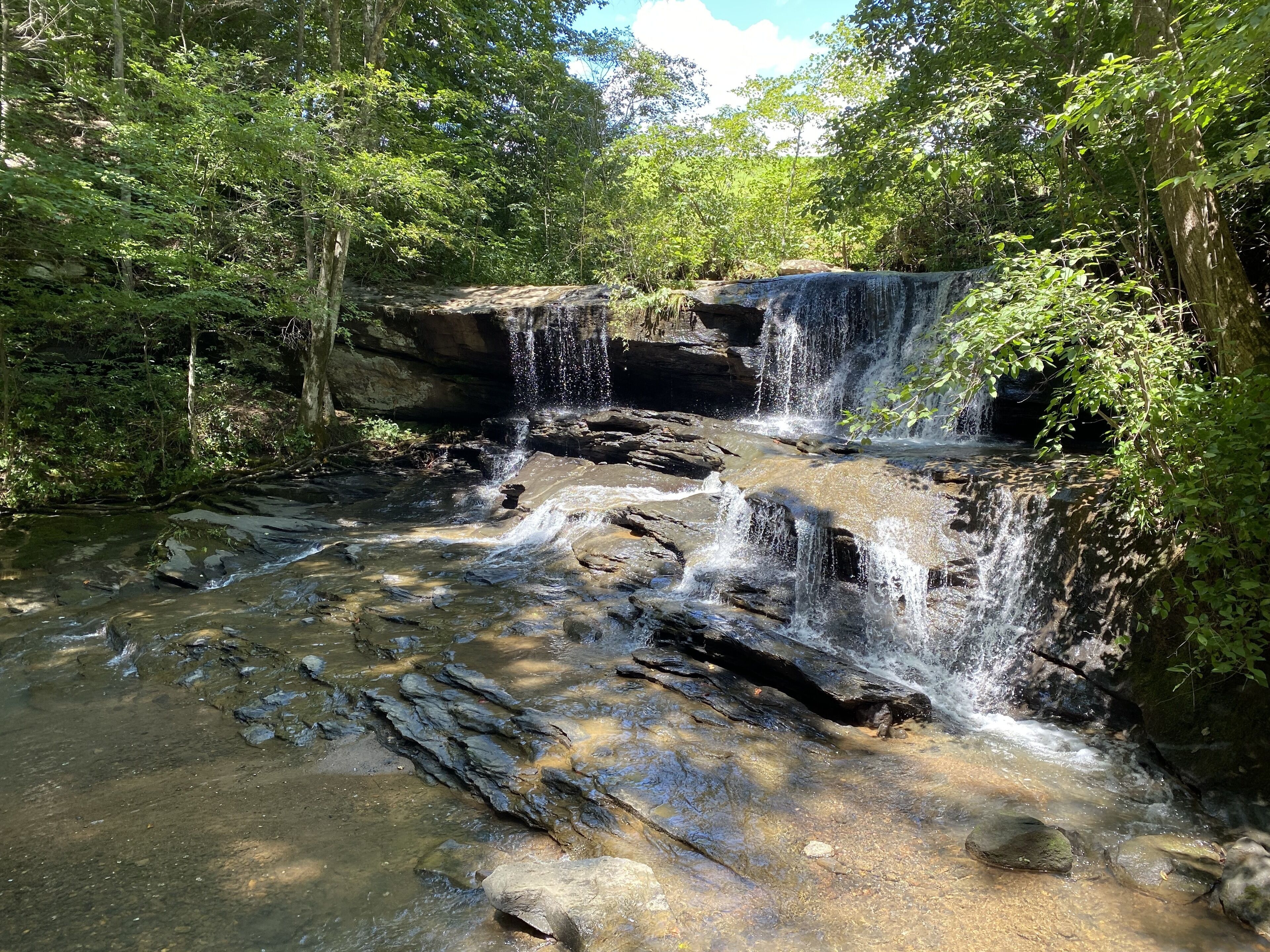 A natural waterfall surrounded by dense forest.