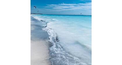 Limoncello a Castiglioncello