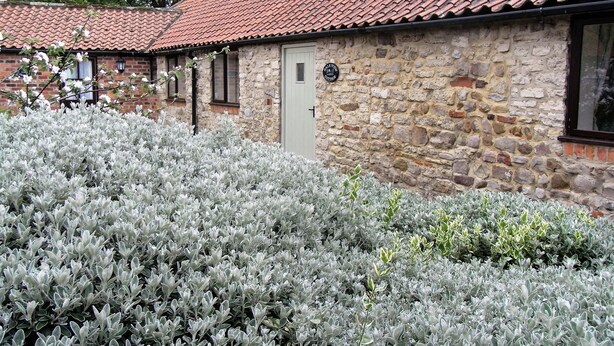 A stone cottage with a tiled roof, a door, and a sign that reads "Pleasure Cottage."