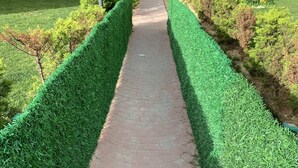 Un camino pavimentado bordeado por setos bien cuidados, que conduce a una zona residencial con edificios de varios pisos.