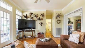 Smart TV, fireplace, books