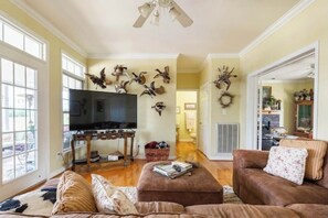 Smart TV, fireplace, books