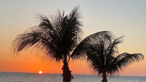 A beach scene with palm trees, people relaxing, and a sunset. - Cozy 1BR Condo w/ 0 min walk to beach! Spectacular views! Summer 2026 open! (North Redington Beach)
