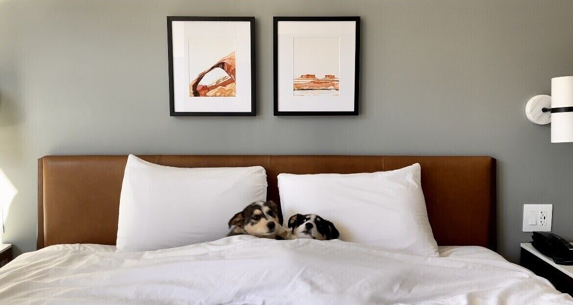 Literie de qualité, lit avec matelas en mousse à mémoire, coffre-fort