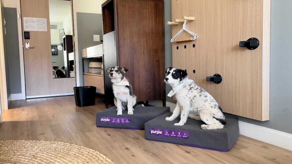 Foto - Gravity Haus Moab