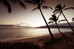 بالقرب من الشاطئ، كراسي للتشمس، مناشف للشاطئ