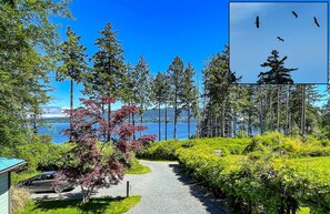 Property grounds - Oceanfront Spa | Oceanview Ensuites | All Seasons (Denman Island)