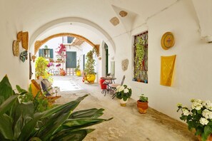 Terraza o patio