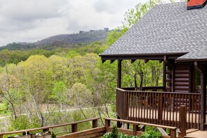 Property grounds - Well-appointed cabin with expansive mountain views, nature and tranquility. (Zionville)