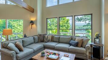 Älytelevisio, DVD-soitin, kirjoja, videokirjasto