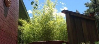 WOW*RED ROCK VIEWS with Artistic Charm! New!