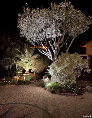 Ein beleuchteter Garten bei Nacht mit einem gut ausgeleuchteten Baum und verschiedenen Kübelpflanzen.