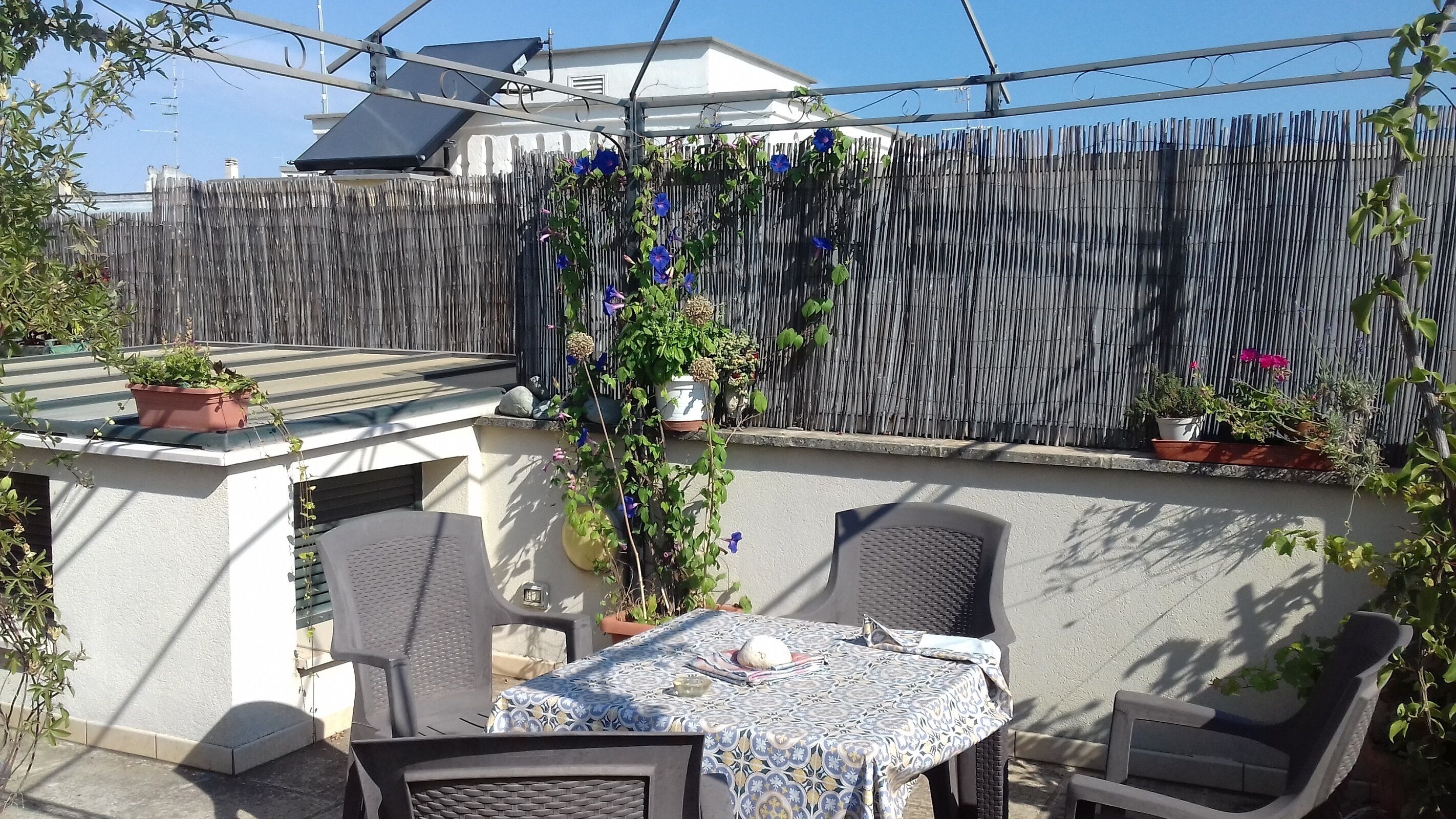 An outdoor patio with a table and chairs, surrounded by potted plants and a bamboo fence.
