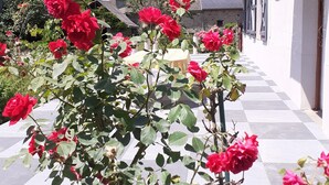 Une cour intérieure ornée de rosiers rouges, un sol à carreaux et un bâtiment doté d’un balcon.
