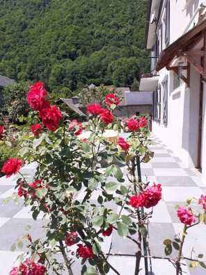 Terrain de l’hébergement 