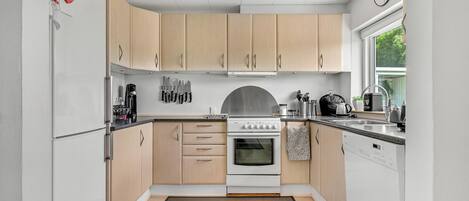 Fridge, oven, stovetop, dishwasher