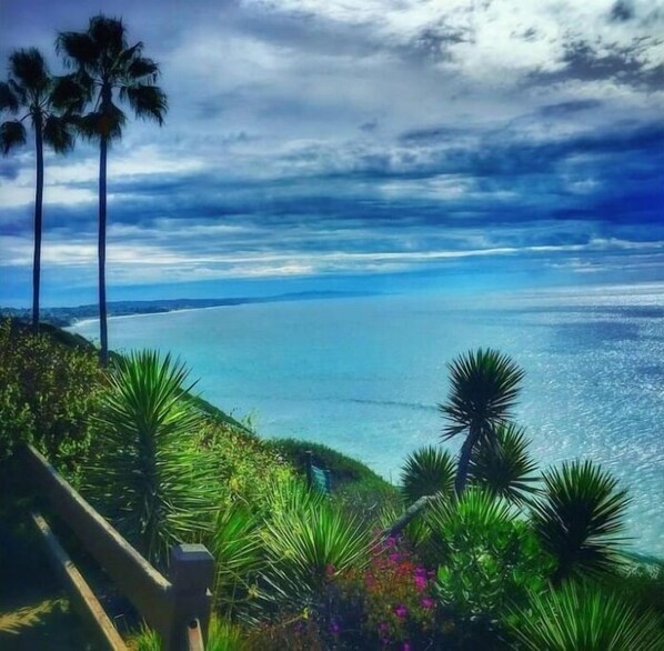 Escape to a serene coastal haven with breathtaking ocean views and lush tropical surroundings.