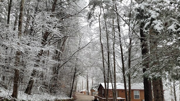 A snow-covered forest path leading to a cabin with a wooden deck and a red roof. - "The DogHouse" a Pet Friendly Cabin on a 70 ac horse farm near Fall Creek Falls! (Van Buren County)