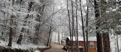 Overnatningsstedets område