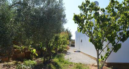 Casa Modular T2
