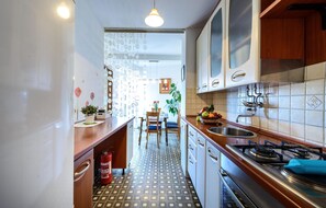 Fridge, oven, stovetop, dishwasher