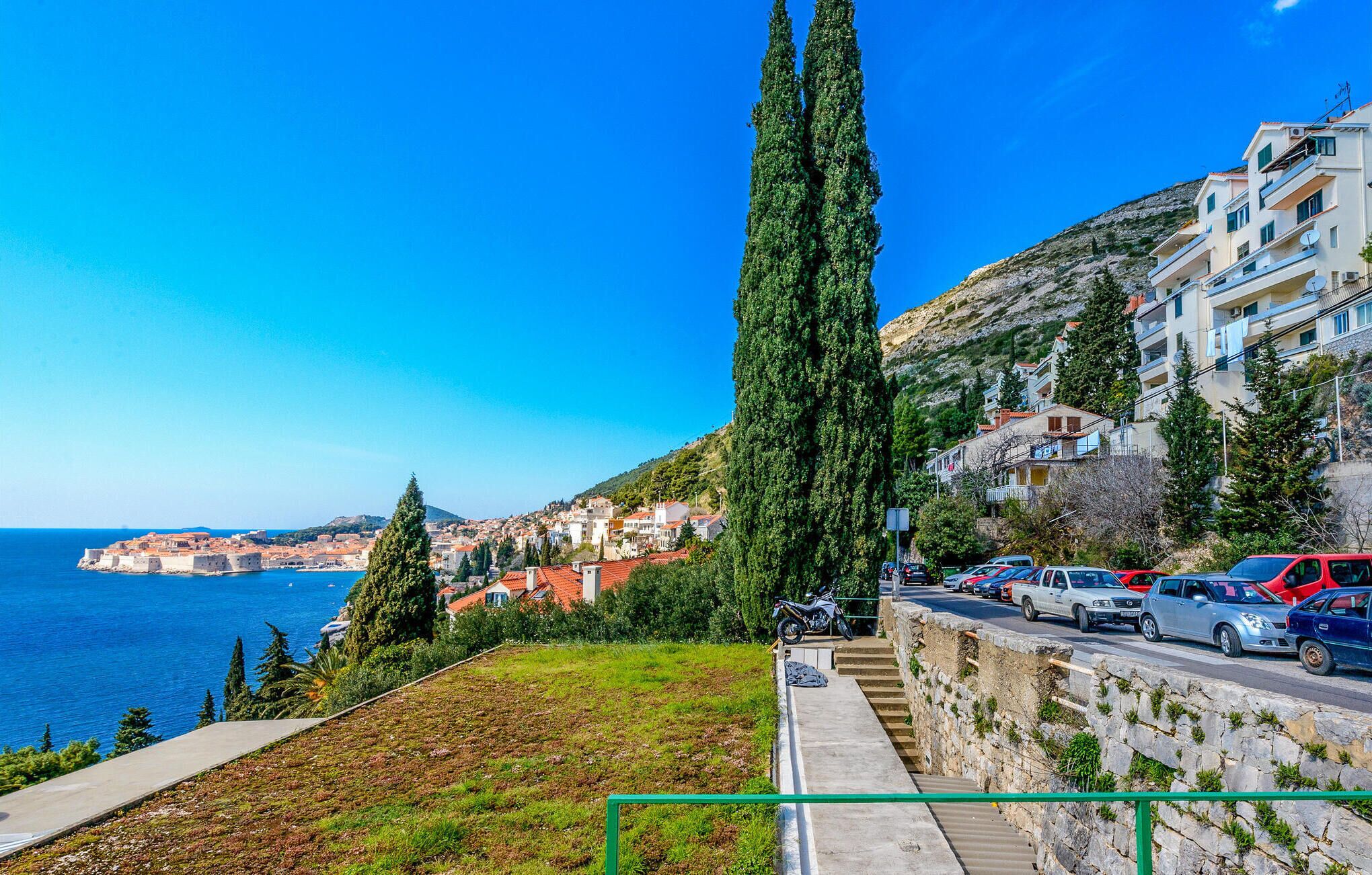 Una cittadina costiera con un albero alto e imponente, una strada con auto parcheggiate e edifici con balconi affacciati sul mare.