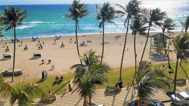 A beach with palm trees, a sandy shore, and a clear blue sky. - THE ONE! NEWLY RENOVATED GROUNDFLOOR BEACH/OCEAN FRONT CONDO with private deck! (Deerfield Beach)
